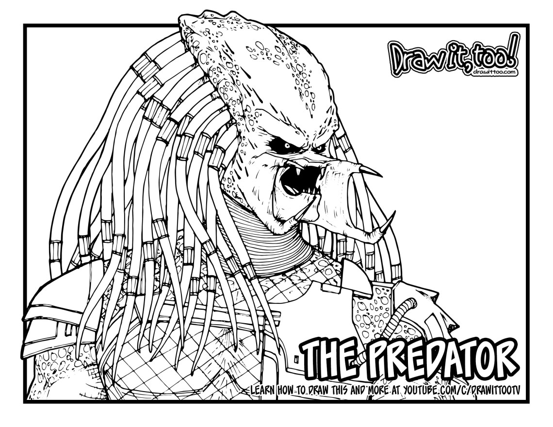 How to draw the predator predator drawing tutorial