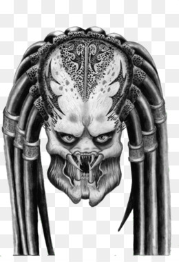 Alien vs predator png