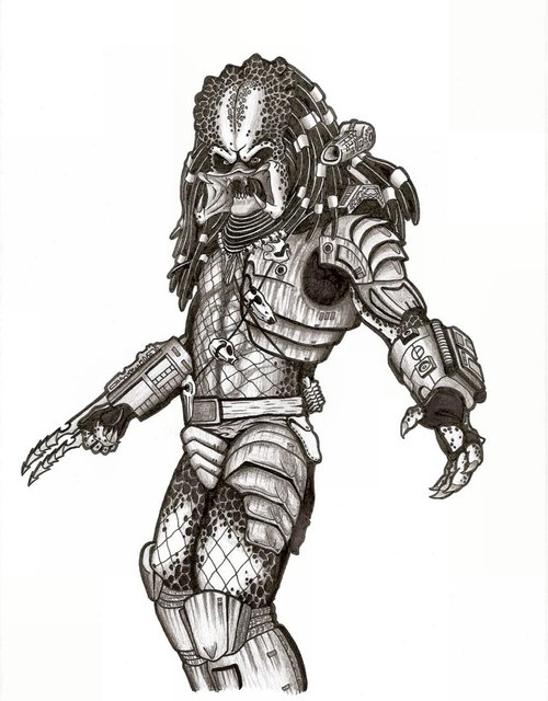 Free coloring pages predator coloring pages for kids