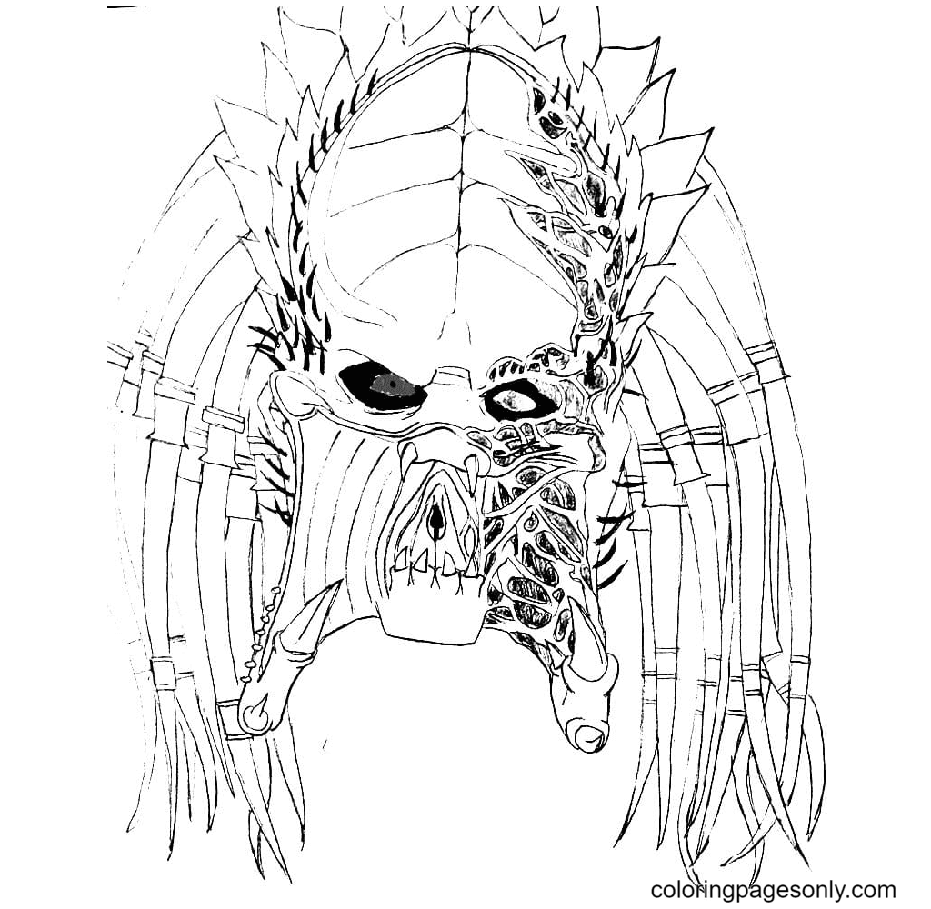 Predator coloring pages