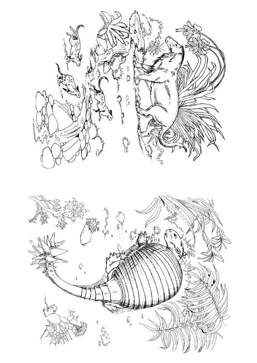 Coloring page dinosaur and predator