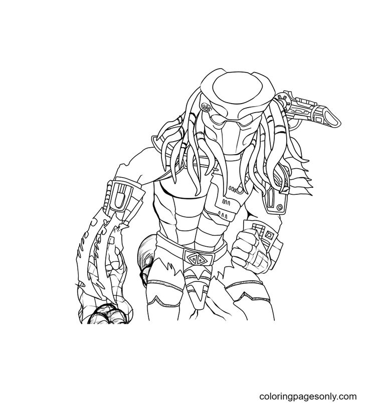 Predator coloring pages