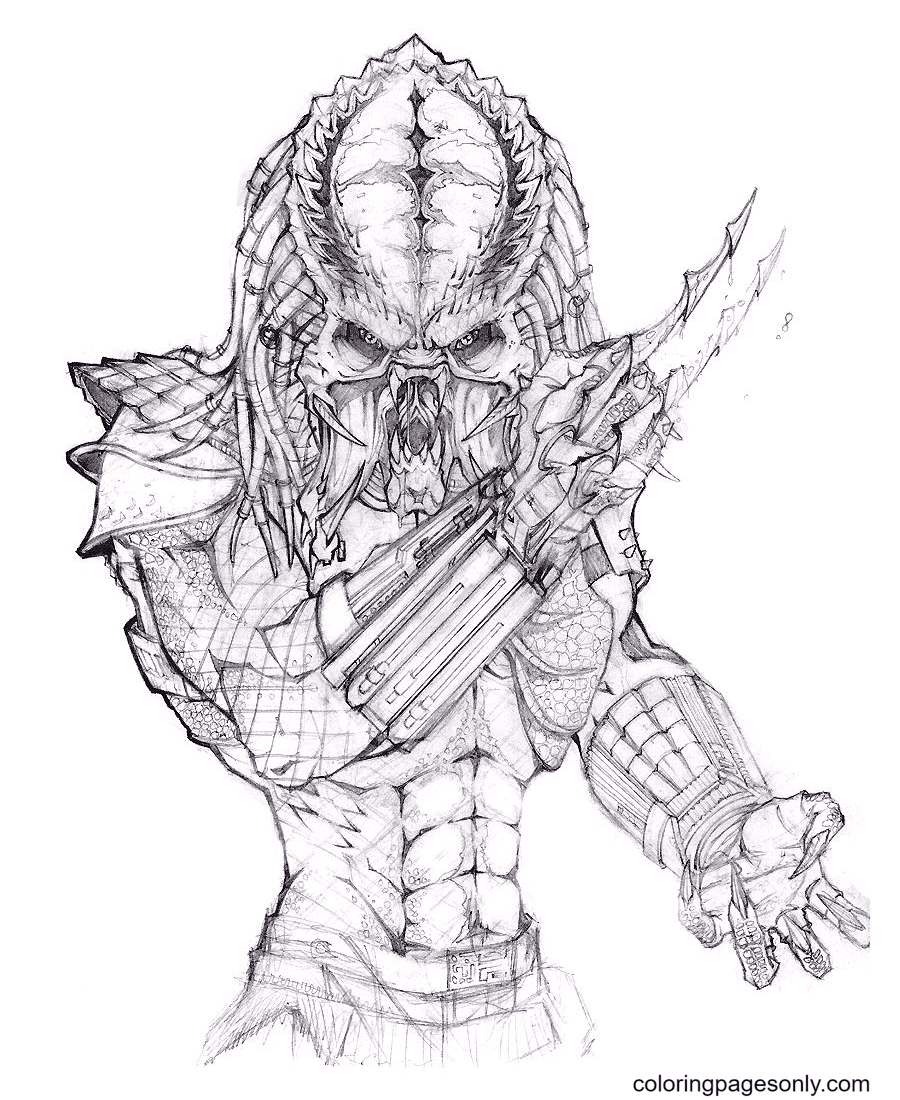 Predator coloring pages