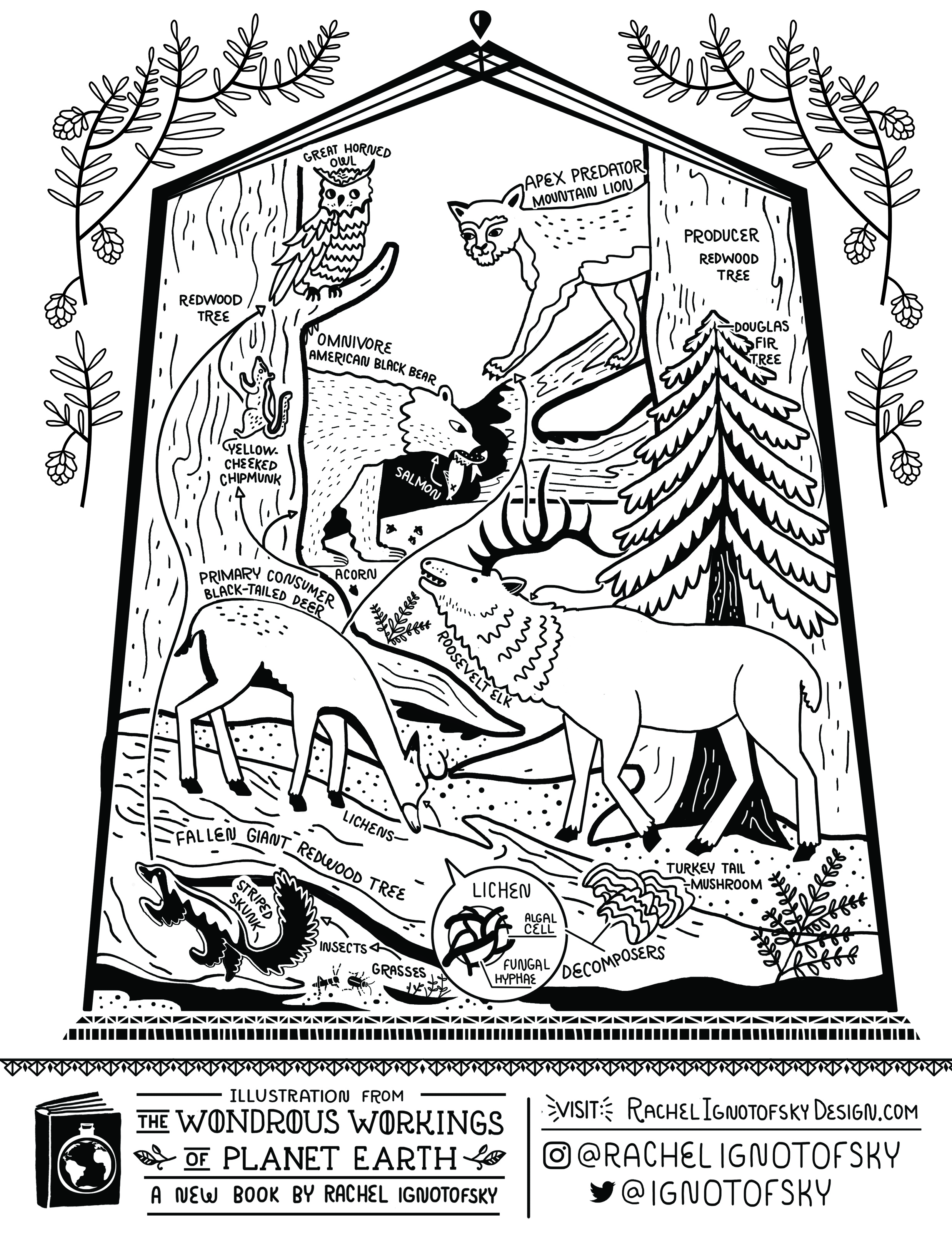 Free downloads â rachel ignotofsky design