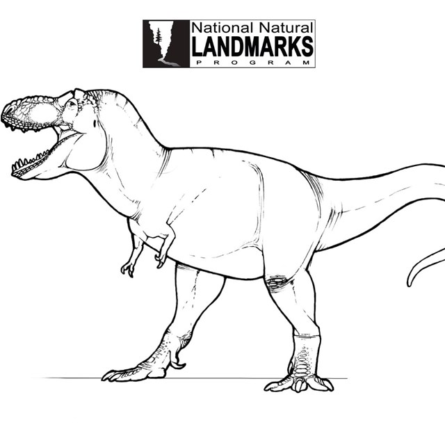 Nnl prehistoric life coloring pages us national park service