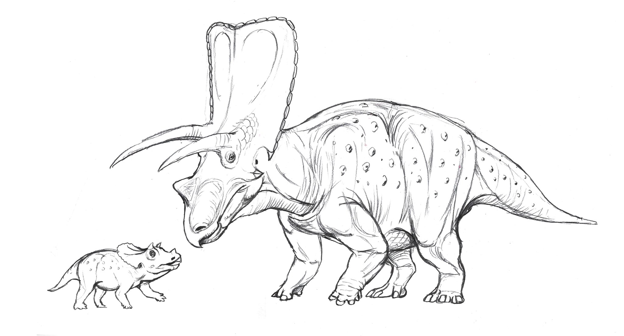 Zhao chuang yang yang on x aubrey the torosaurus and its little one dabei