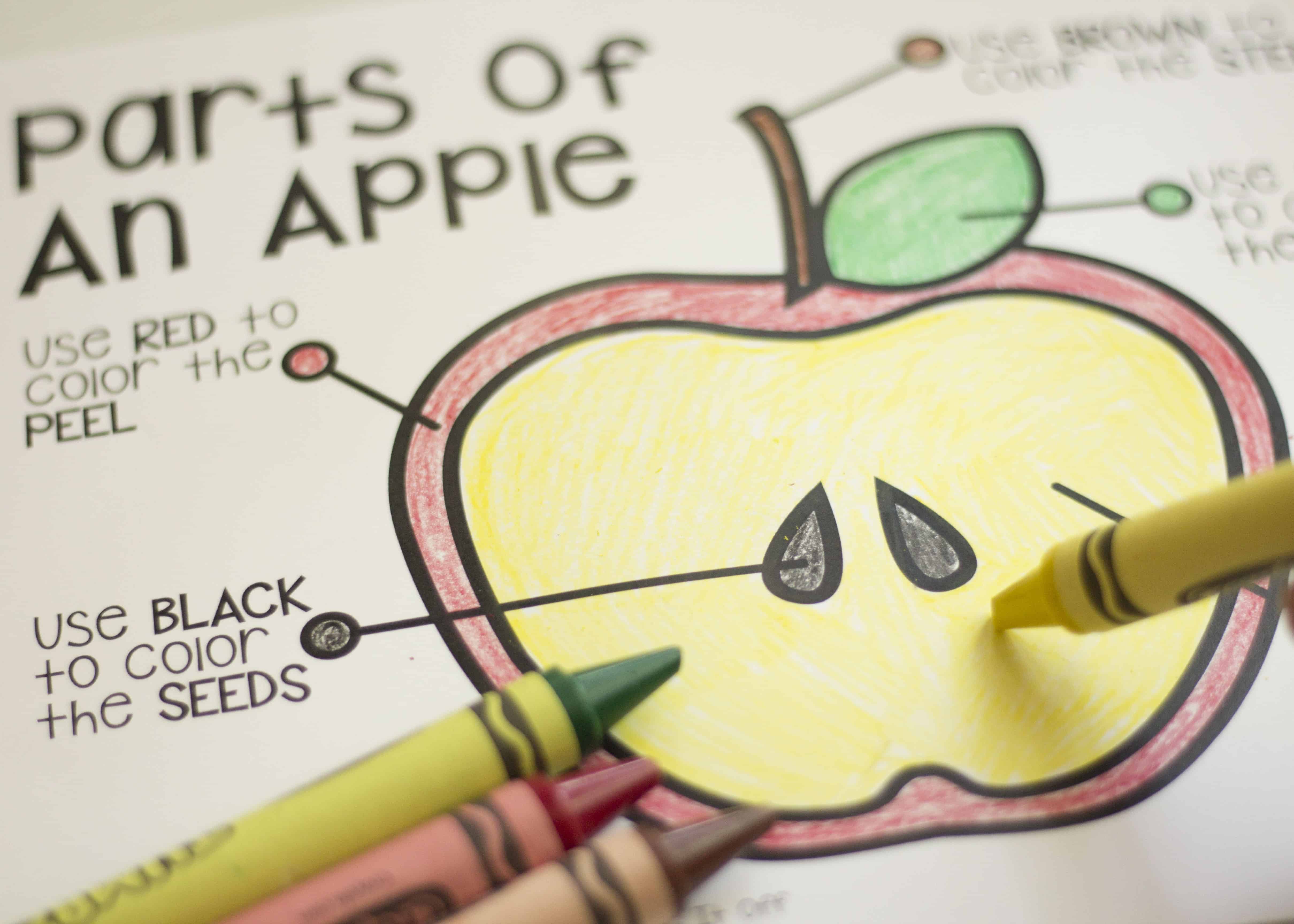 Easy free apple printables for playful learning at home â homebound but hopeful