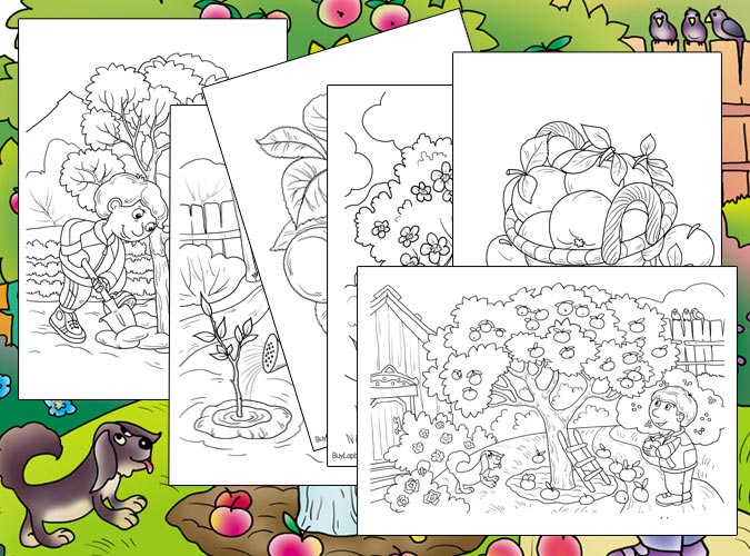 Apple tree apple life cycle coloring pages