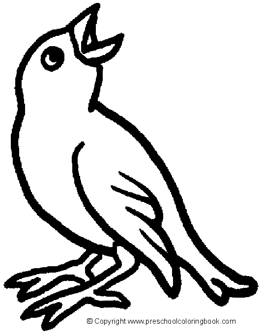 Www bird coloring page