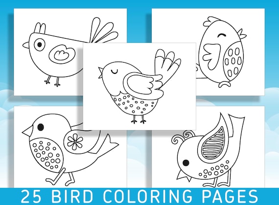 Fun and easy bird coloring pages for kindergarten and preschool delightful designs to spark creativity pdf file instant download