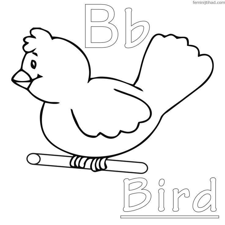 Free bird coloring pages pdf