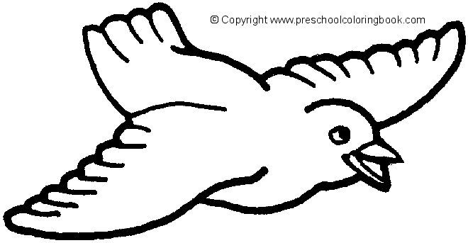 Www bird coloring page