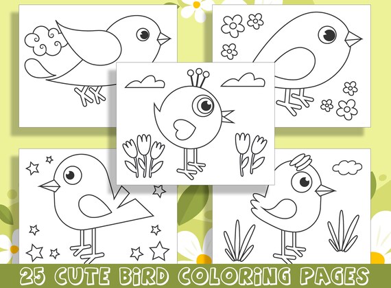 Cute bird coloring pages adorable designs for preschool and kindergarten pdf file instant download