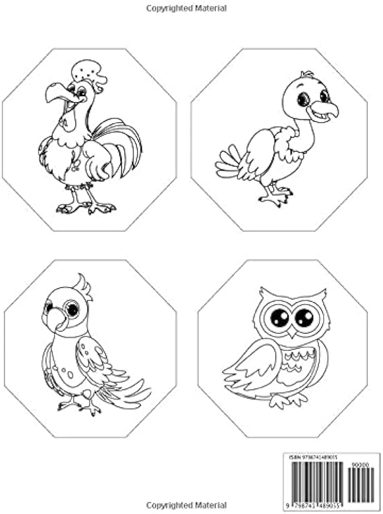 Bird coloring book for kids ages