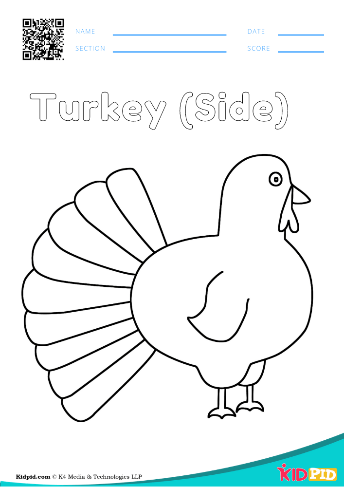 Bird coloring pages for preschoolers