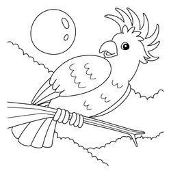 Cockatoo coloring page vector images over