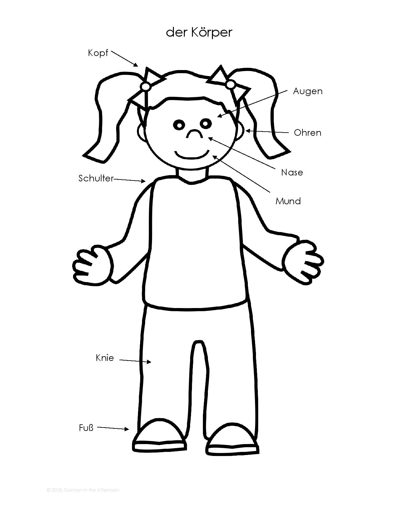 Body parts german in the afternoon activities