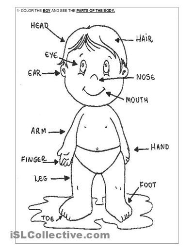 Kãptalãlat a kãvetkezåre âkãrperteile dafâ body parts preschool body parts for kids body part drawing