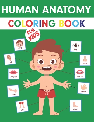Human anatomy coloring book for kids my first anatomy book body parts coloring book for kids toddlers and preschoolers