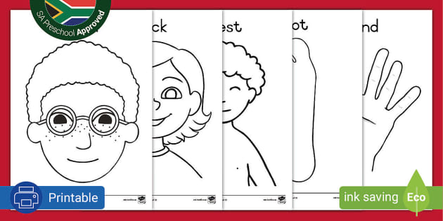My body colouring pages teacher made