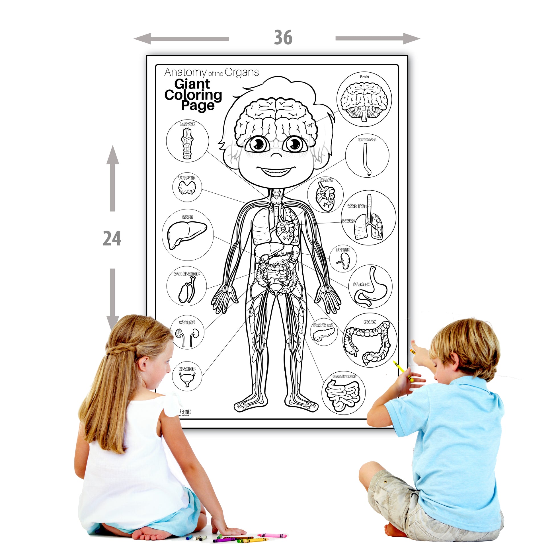 Human anatomy organs extra giant coloring page for kids young n refine â young n refined