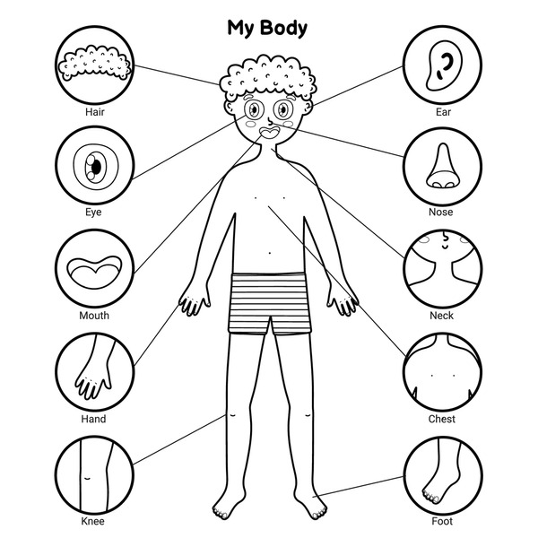 Black white body parts royalty