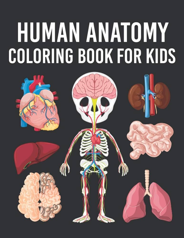 Human anatomy coloring book for kids human body parts coloring book for kids ages years old perfect gift for boys girls to improve their knowledge