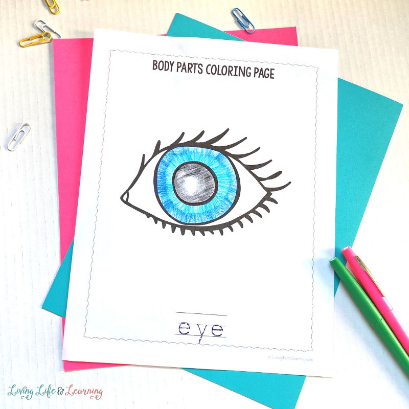 Body parts coloring pages