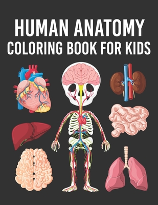 Human anatomy coloring book for kids human body parts coloring book for kids ages years old perfect gift for boys girls to improve paperback books on the square