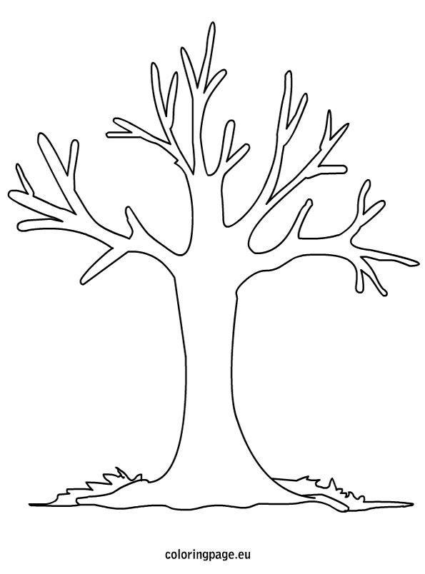 Autumn tree coloring pages printable sagoma di albero alberi di autunno albero foto