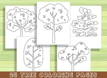 Beautiful tree coloring pages for preschool and kindergarten pdf file