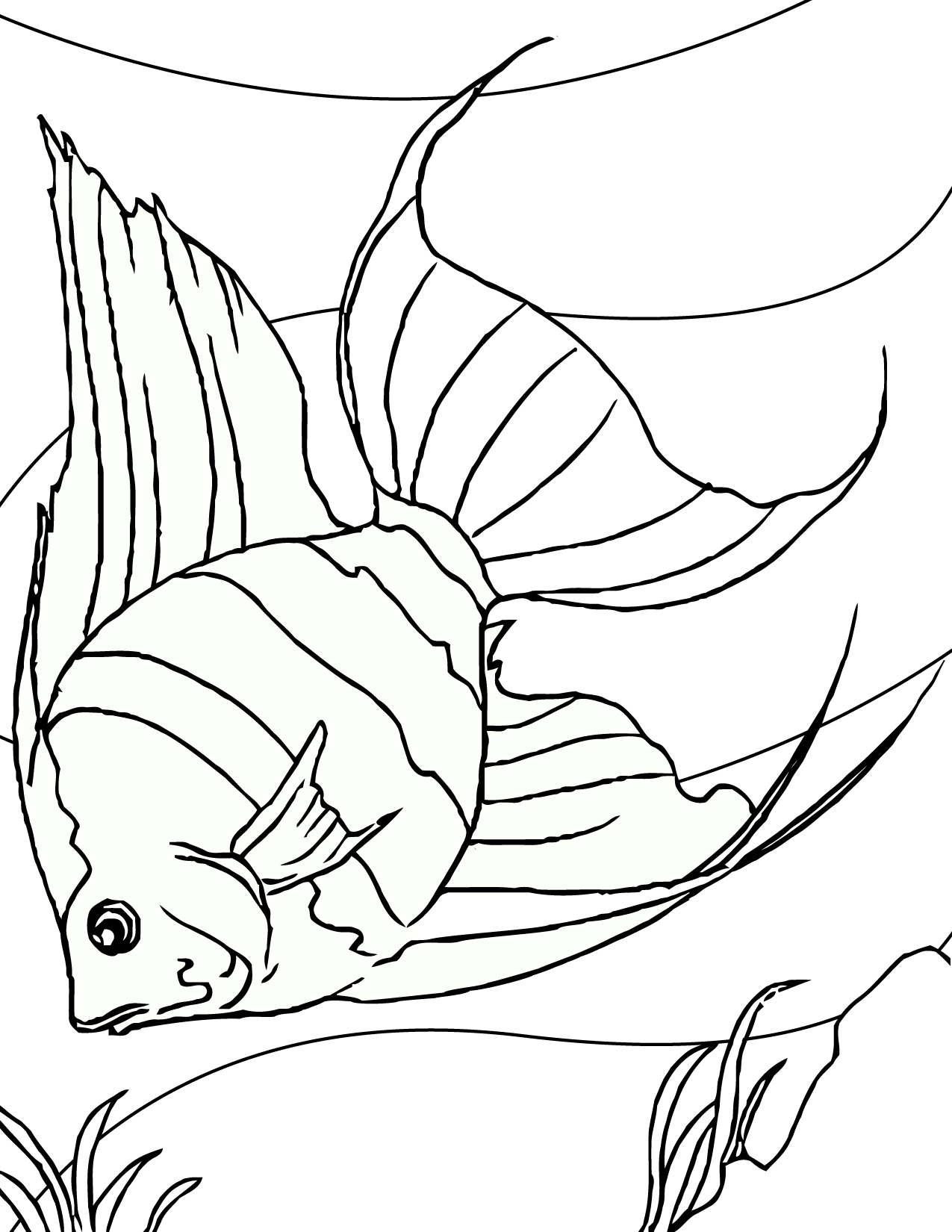 Free printable fish coloring pages for kids