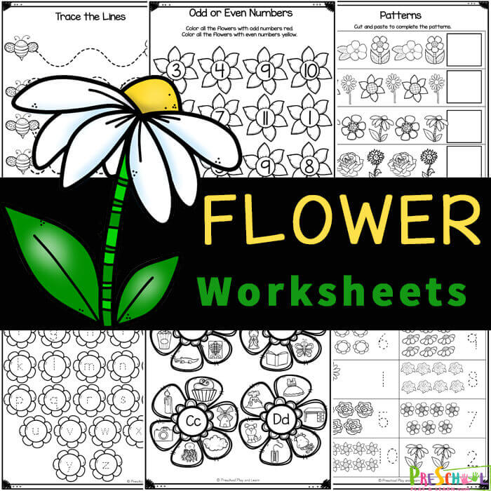 Ð free printable flower worksheets for preschool and kindergarten