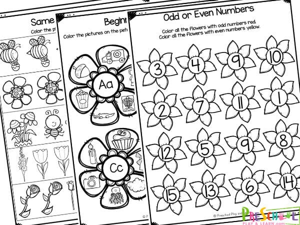 Ð free printable flower worksheets for preschool and kindergarten