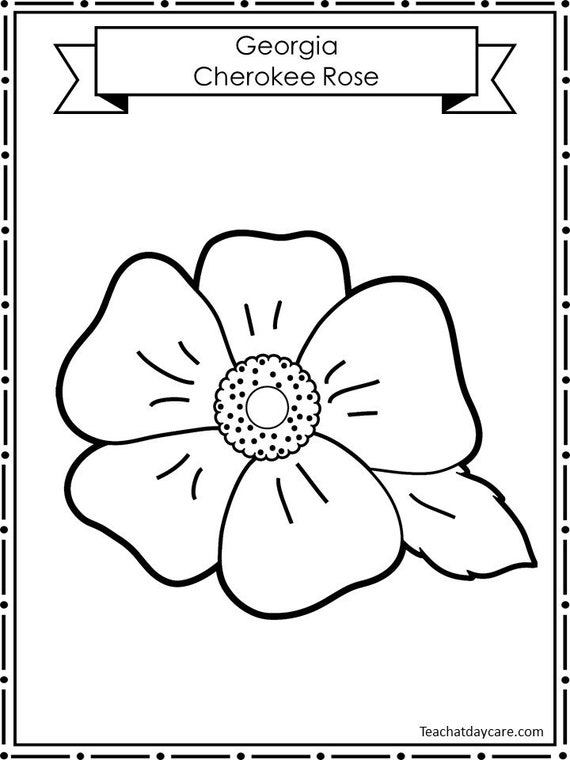 Printable state flower color worksheets preschool and kindergarten state symbols geography curriculum