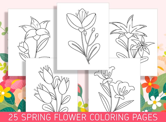 Spring into color flower coloring sheets for preschool and kindergarten pdf file instant download