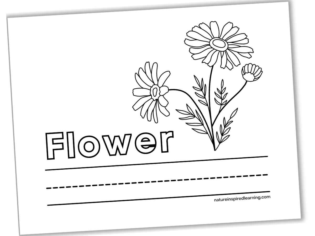 Beautiful flower coloring pages