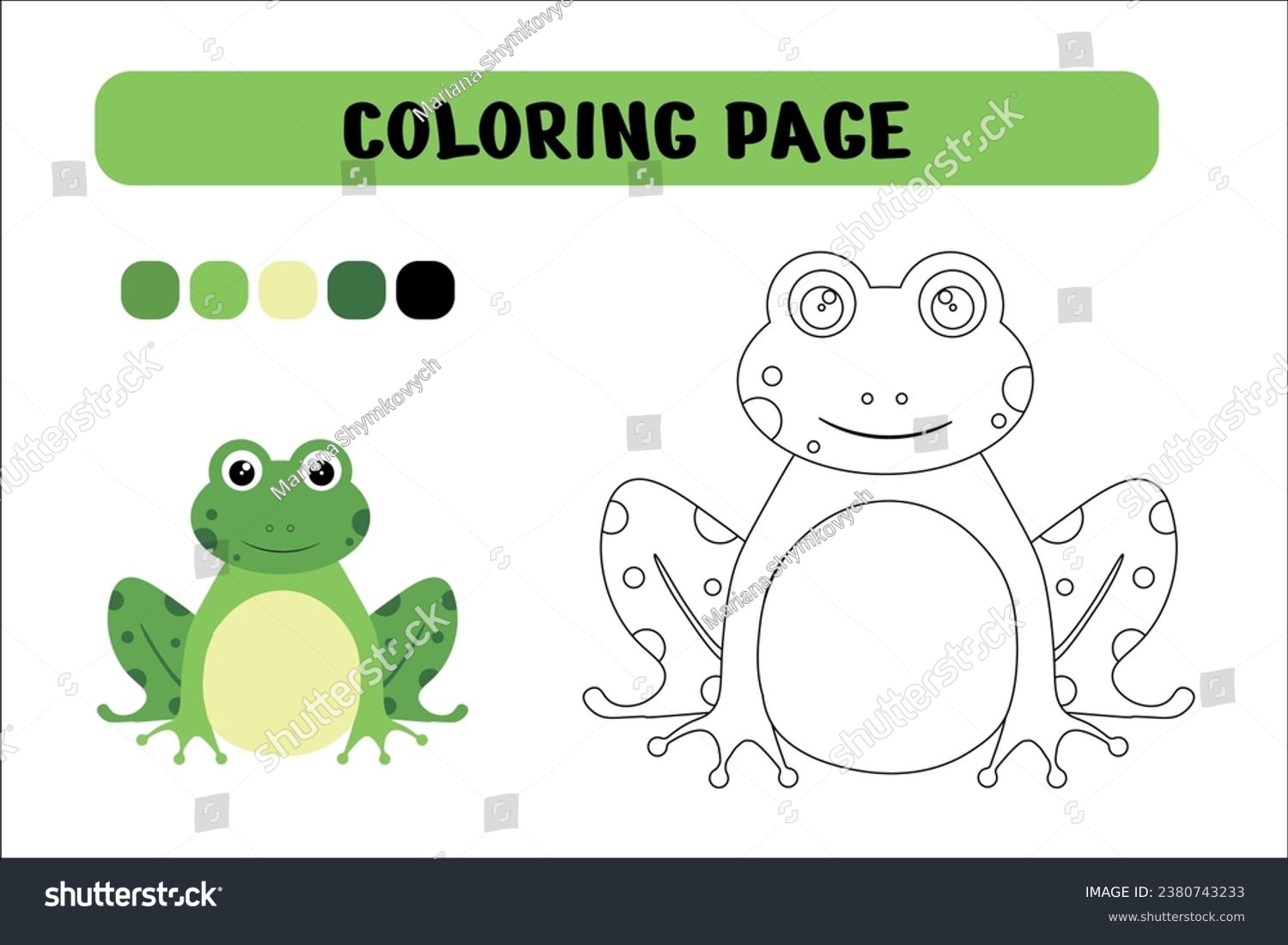 Frog coloring stock photos