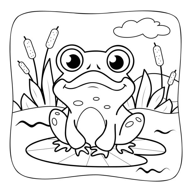 Background of frog coloring pages stock illustrations royalty