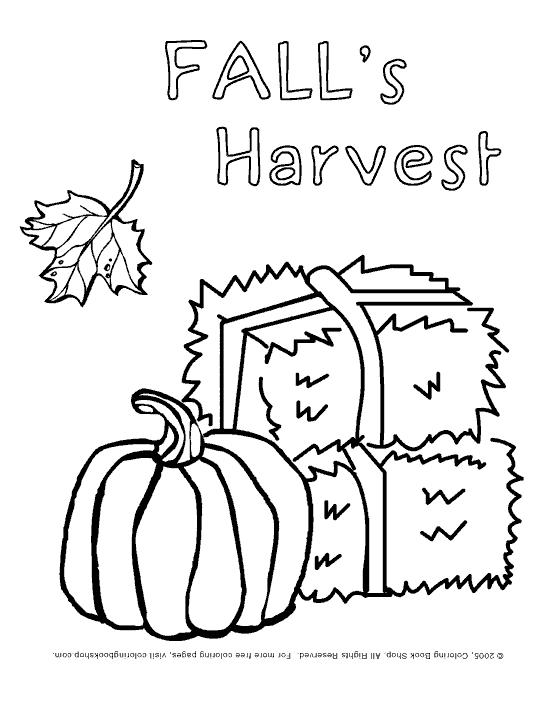 Preschool leaves worksheets thanksgiving printable coloring page falls harvest