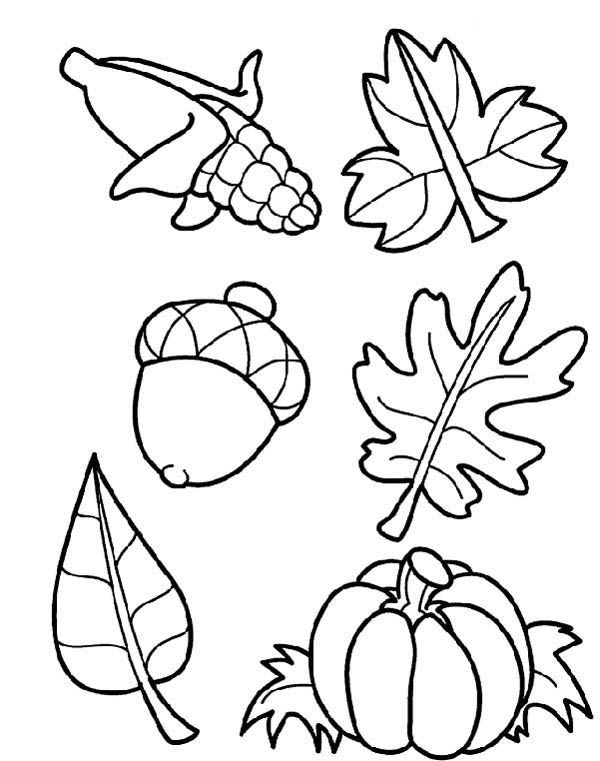 Harvest crops in autumn season coloring page color luna fall coloring pages fruit coloring pages free printable coloring pages