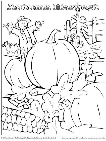 Coloring sheet fall harvest education world preschool harvest harvest activities fall coloring sheets