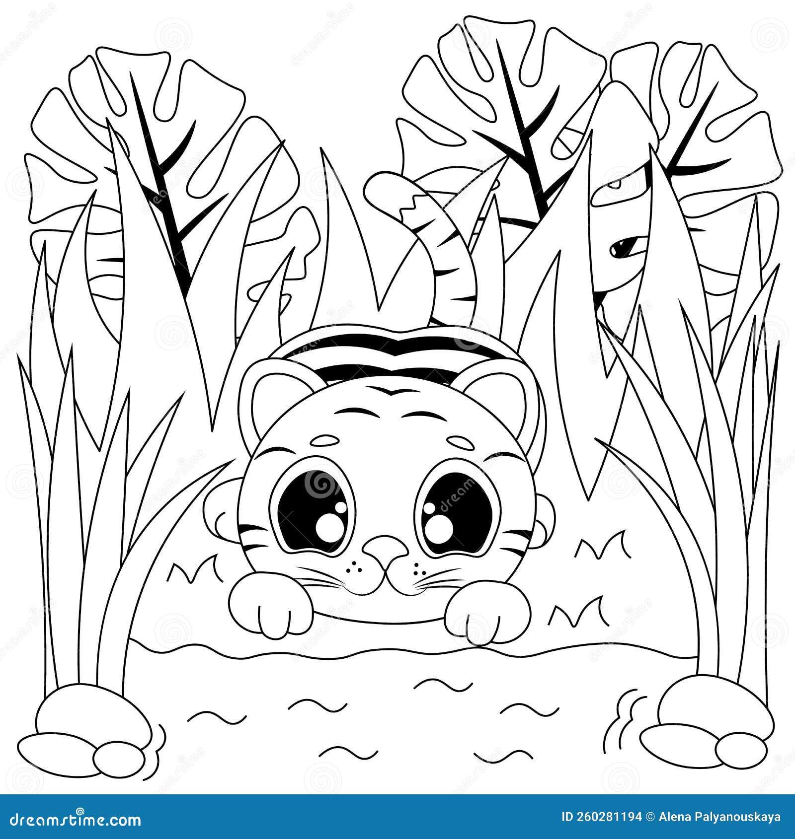 Vector coloring pages with cute tiger cub at the waterhole cartoon contour illustration isolated on white background stock vector