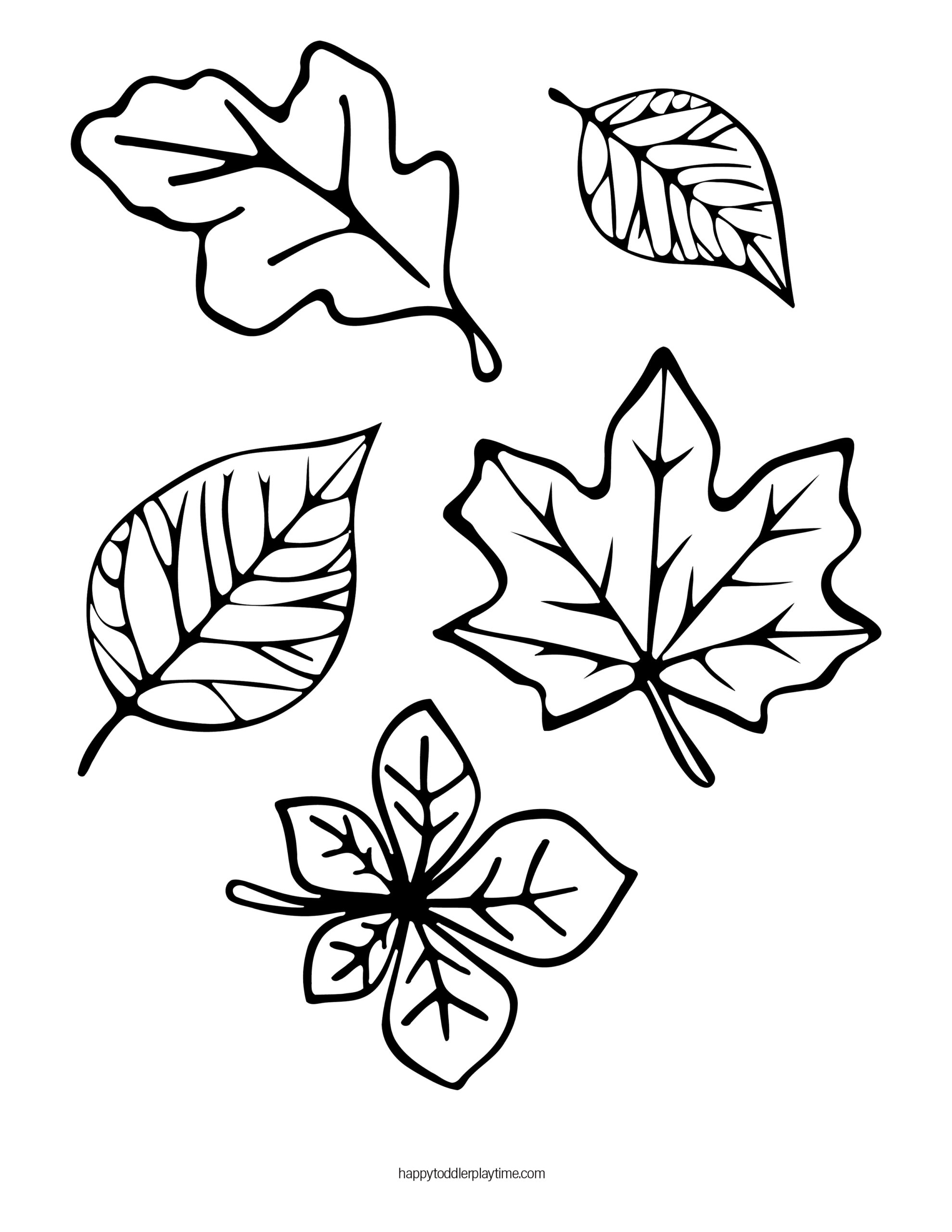 Fantastic fall coloring pages for kids