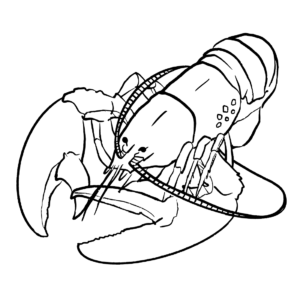 Lobster coloring pages printable for free download