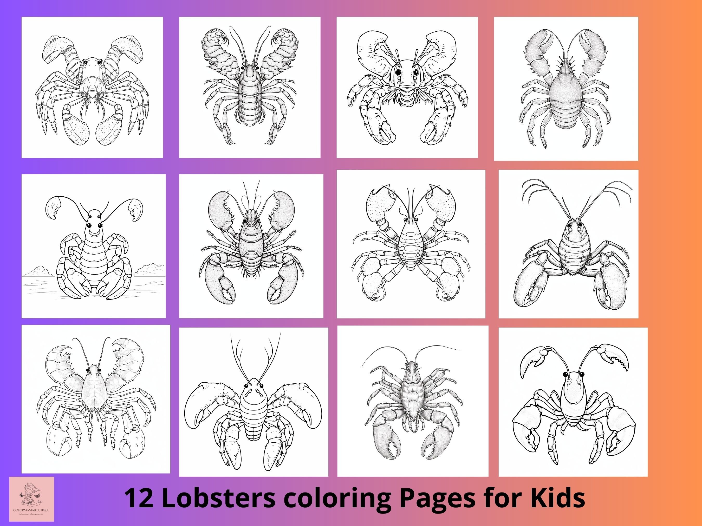Lobster coloring