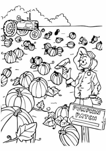 Free pumpkin patch coloring pages printable