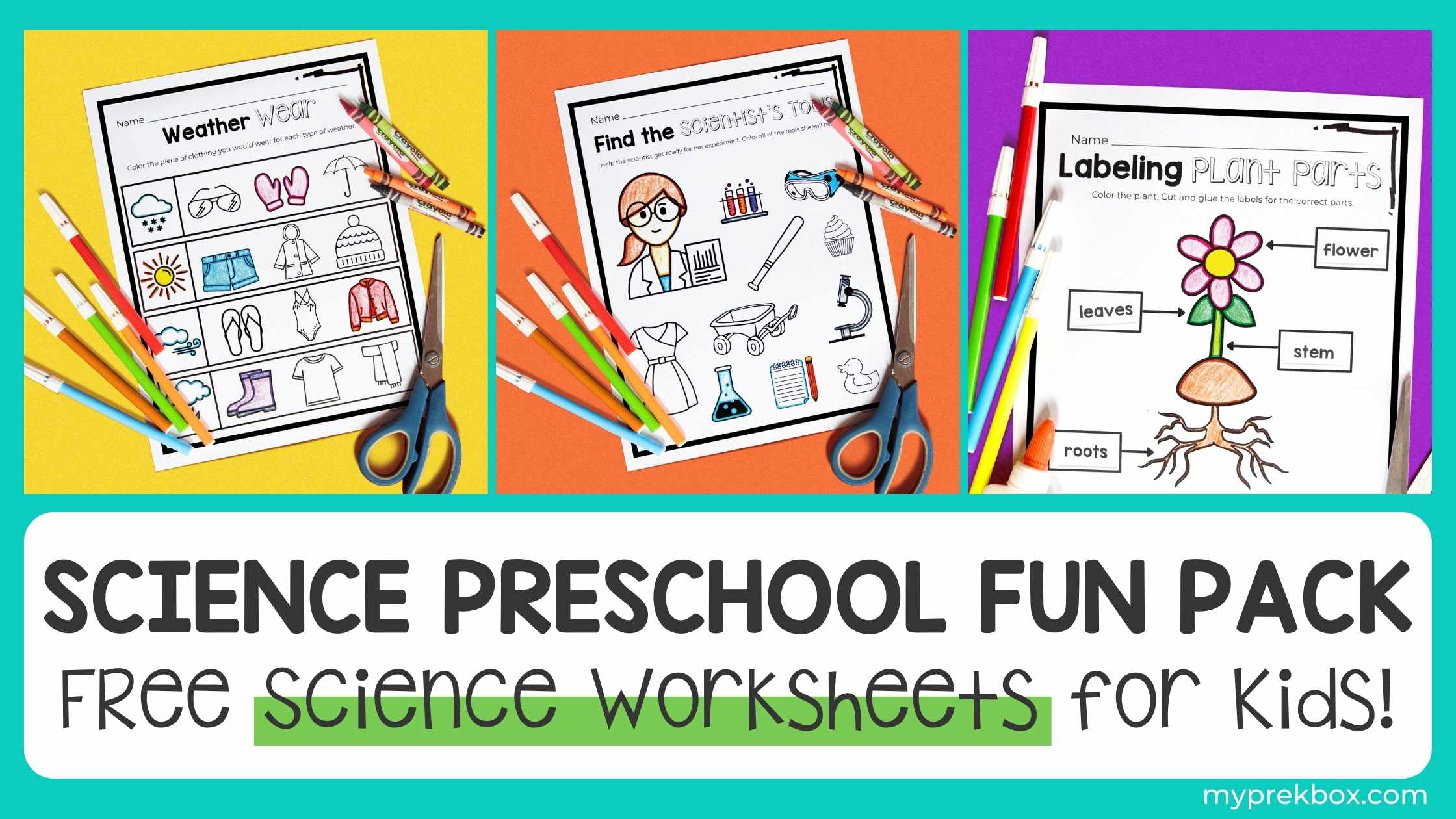 Free preschool science worksheets
