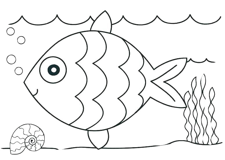 Printable ocean animals coloring pages pdf