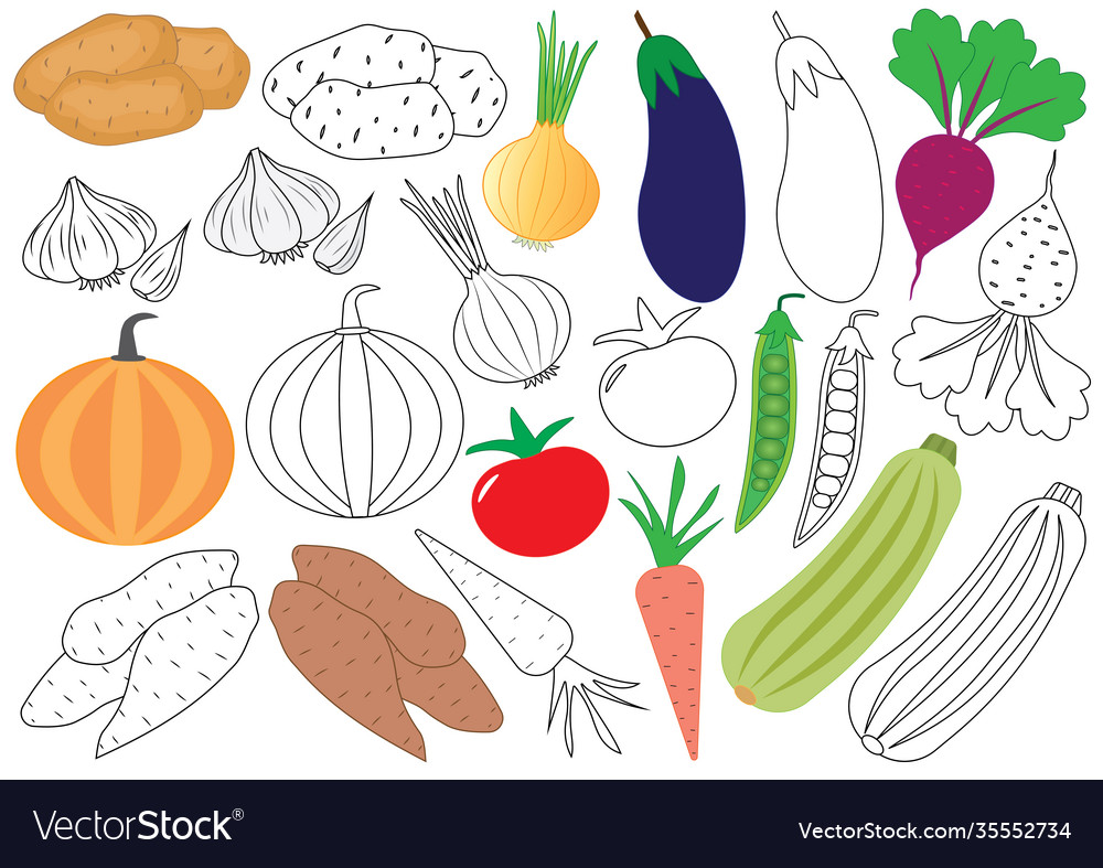 Vegetables coloring book educational game vector image